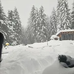 Waldnah Apartmán